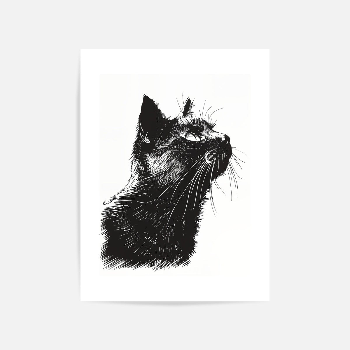 Detailed Cat Sketch Art Print Unframed