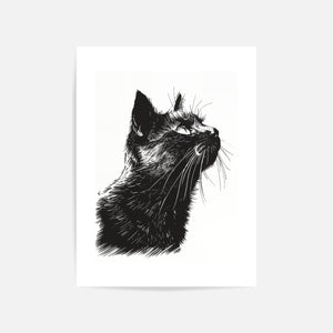 Detailed Cat Sketch Art Print Unframed