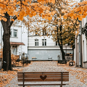 Heart Bench In Autumn Art Print Close-up