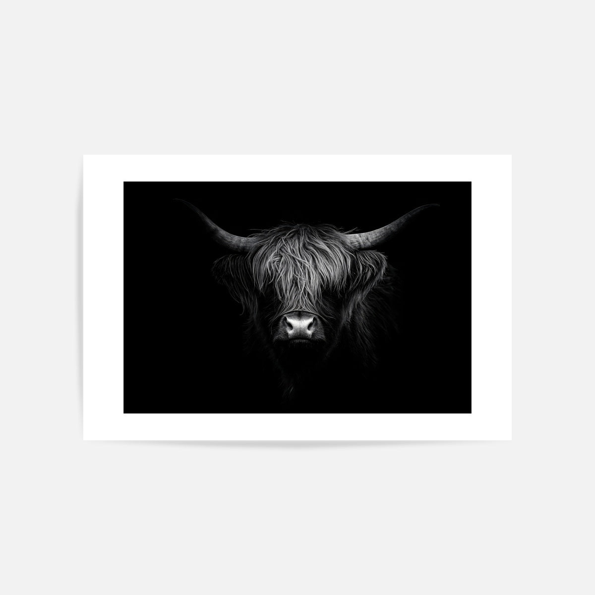 Monochrome Highland Cow Art Print Unframed