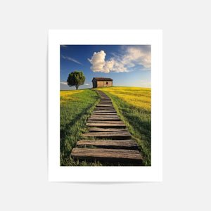 Wooden Path To Cabin Art Print Unframed